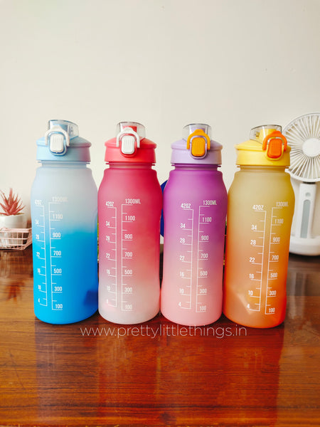Sports / Gym Style Hydration Bottles [~1.4 Litres]