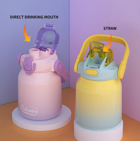 Insulated Ombre Shade Dual Sipper 620 ml Bottle