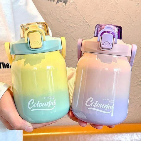 Insulated Ombre Shade Dual Sipper 620 ml Bottle