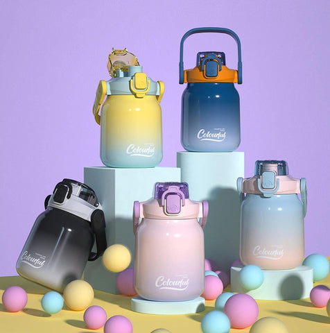 Insulated Ombre Shade Dual Sipper 620 ml Bottle