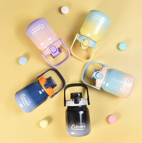 Insulated Ombre Shade Dual Sipper 620 ml Bottle