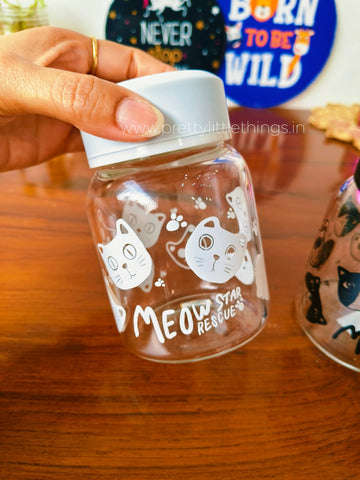Cat-ty Glass Jars