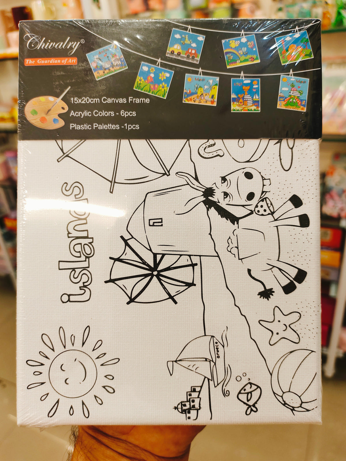 Canvas on Wooden Frame Painting Kit