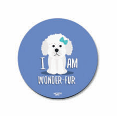 Quirky Fridge Magnets cum Coasters
