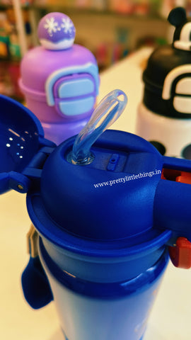 Disney Dual Sipper Insulated Bottles