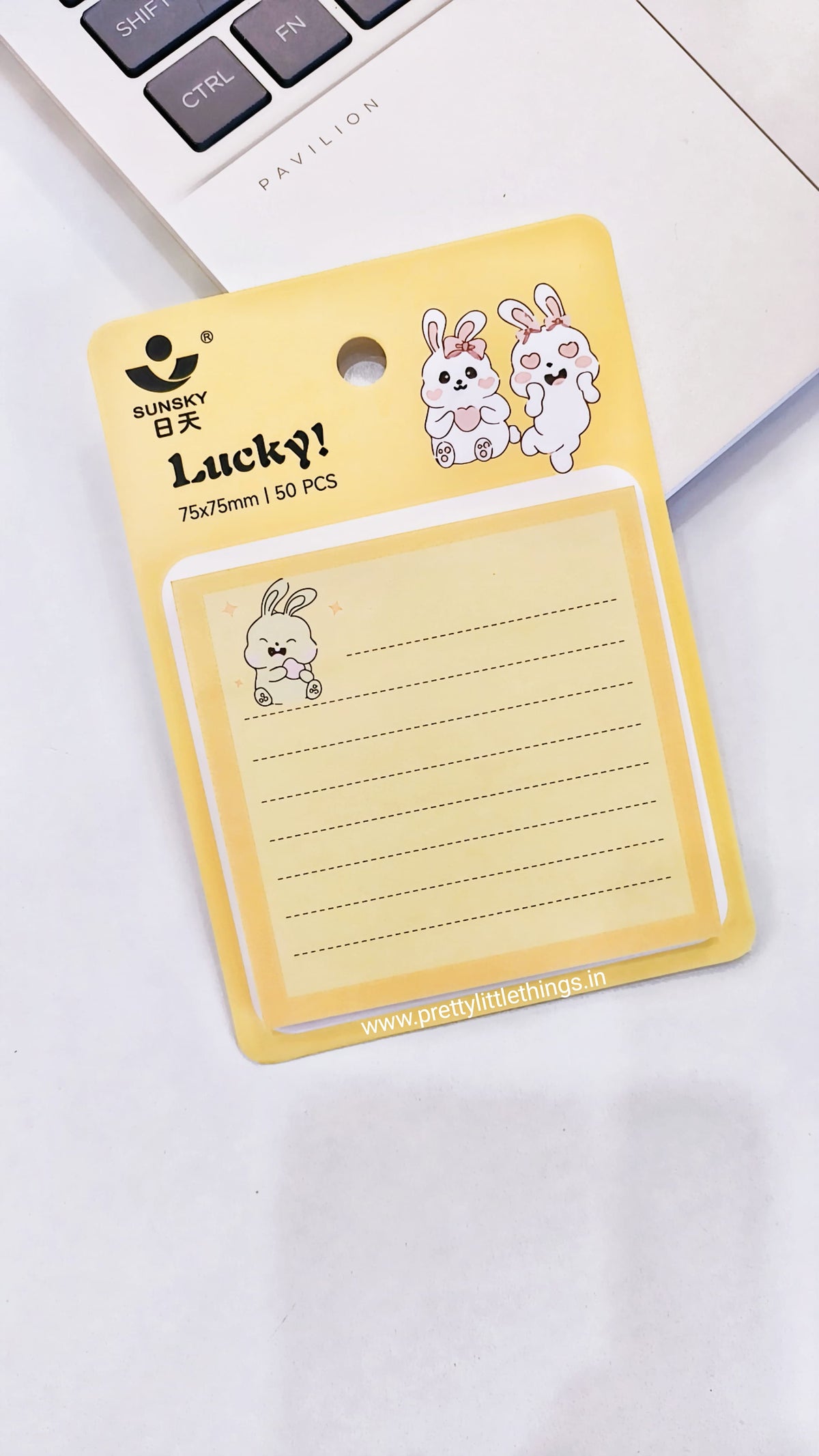 Lovely Pocket Sticky Notes, Today / Lucky