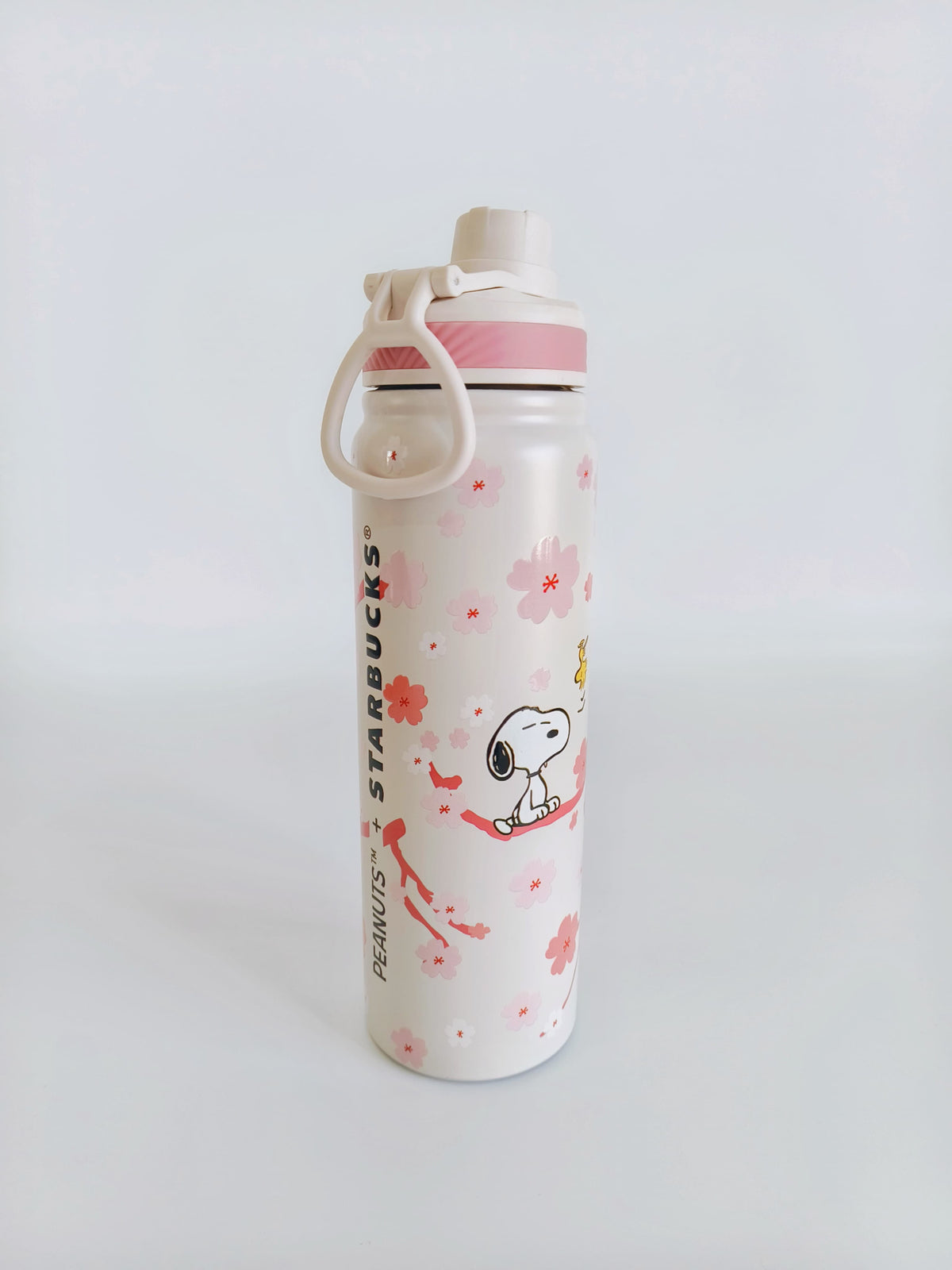 Peanuts Starbucks Theme 750 ml Steel Bottles (Swig to Drink)